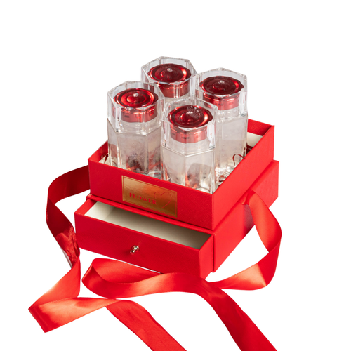 BIRDNEST 4-BOTTLE GIFTBOX 4瓶 - 鲜炖燕窝礼盒 (3g - 80ml each)